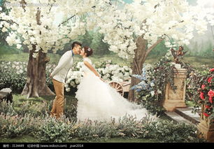 接吻的情侶婚紗攝影圖片免費下載 編號3134449 紅動網