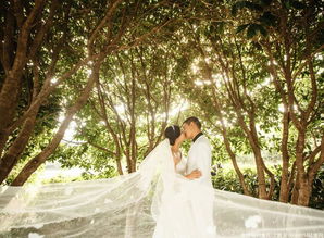 甜蜜定格，網(wǎng)友“會(huì)呼吸的魚兒”分享東莞星苑視覺頂尖婚紗攝影體驗(yàn)